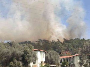 Fethiye’de Orman Yangını