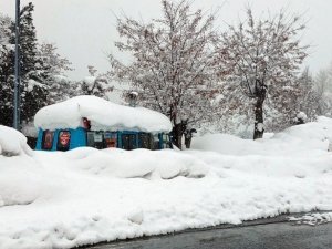 Bitlis’te 248 Köy Yolu Ulaşıma Kapandı