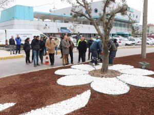 Akhisar’a 7 Kilometrelik Muhteşem Peyzaj