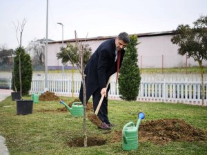 Herkes Dalından Yesin Diye Yüzlerce Kiraz Ve Vişne Ekildi