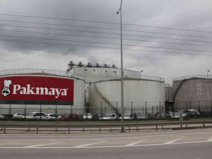 Şehri Saran Maya Kokusuna İlginç Yorumlar
