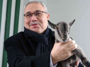 Muş Hayvanat Bahçesinin Yeni Üyesi Dünyaya Gözlerini Açtı