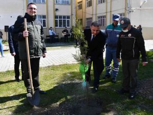 Söke’de Orman Haftası’nda Fidan Dikim Etkinliği