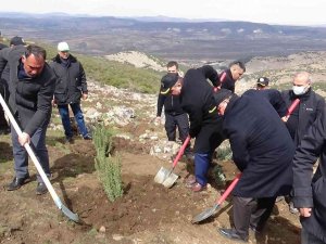 Kilis’te Bal Ormanı Oluşturuluyor
