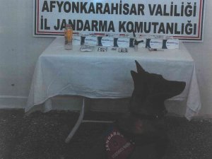 Devriye Gezen Jandarma Uyuşturucu Ele Geçirdi