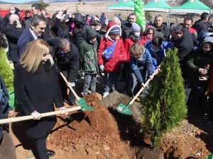 Yanan Sahaların Yüzde 75’inde Çalışmalar Tamamlandı