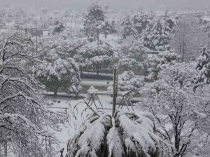 Vali Dağlı: “Samsun’da Kar Yağışında Olumsuz Bir Durumla Karşılaşılmadı”