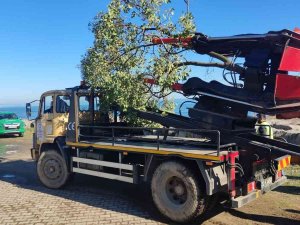 Ordu Büyükşehir Ağaç Sökme Ve Dikme Makinesini Kendi İmal Etti