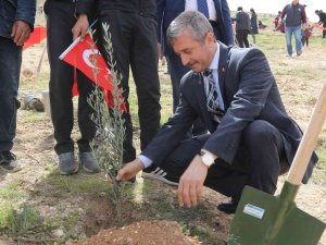 Şahinbey’de 3 Milyon 968 Bin Fidan Toprakla Buluşturuldu