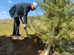Alaşehir’de 500 Adet Fidan Dikildi