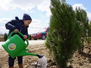 Edirne’de Bu Yıl Hedef: 2 Buçuk Milyon Fidan