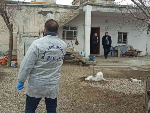 Yaşlı Çifti Sobadan Sızan Gaz Ayırdı