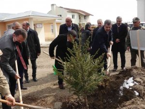 Erciş’te Fidan Dikimi