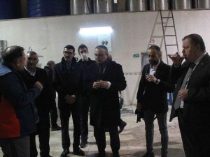 Gastronomi Profesyonelleri Kilis’te Zeytinyağı Fabrikalarını Gezdi