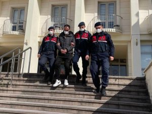 Firari Hükümlüyü Jandarma Yakaladı