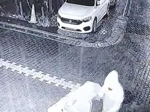 Esenyurt’ta Pizza Hırsızı Güvenlik Kamerasında