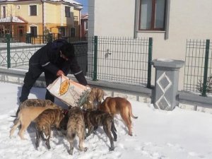 Sokak Hayvanları İçin Mama Ve Yem Bırakıldı