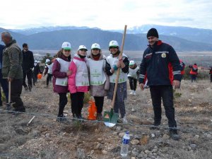 Kargı’da 250 Fidan Toprakla Buluştu