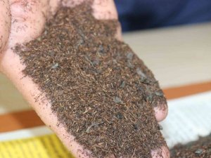 Zabıta Ekipleri Gelen İhbarı Değerlendirdi, Sahte Çay Paketlerinde Talaş Çıktı