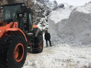 Batman’da Köy Yoluna Düşen Çığ, 12 Saatlik Çalışmayla Temizlendi