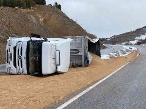 Kontrolden Çıkan Tır Devrildi, 25 Ton Buğday Yola Saçıldı