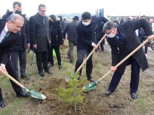 Sinop’ta 400 Fidan Toprakla Buluştu