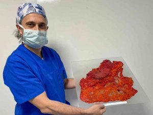 Dünyada Canlı Dokularla Oluşturulmuş İlk Sanatsal Fotoğraf Sergisini Açtı