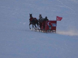 Mart Ayında Atlı Kızak Keyfi