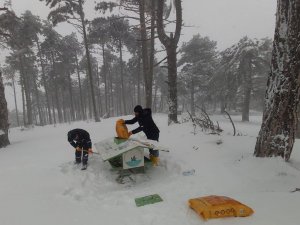 Can Dostlar Soğuk Havalarda Unutulmadı