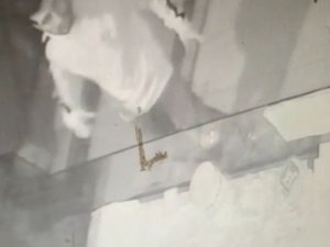 Sma Hastası Bebek İçin Toplanan Bağış Kutusu Çalındı