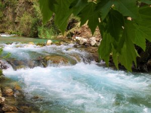 Ekodosd, Suyun Önemine Dikkat Çekti