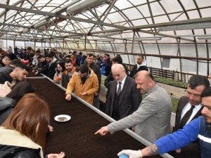 Çiçeklerin Geliri Kırsal Mahalle Okullarına