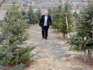 Bozkırı Yeşillendiren ‘Oksijen Adam’ 300 Bin Fidanı Toprakla Buluşturdu