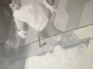 Sma Hastası Bebeğin Bağış Kutusunu Çalan Şüpheli Yakalandı