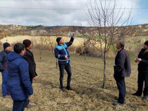 Gediz’de Çiftçilere Meyve Ağaçlarında Verim Ve Şekil Budama Eğitimi