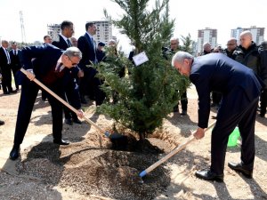 Mersin’de Fidanlar Toprakla Buluştu