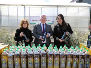 Zeytinyağları İhtiyaç Sahiplerine Dağıtılıyor