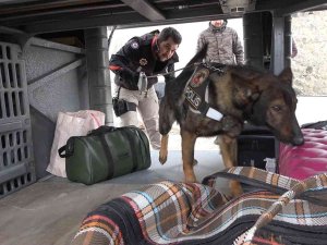 43 İlin Geçiş Güzergahında Sıkı Denetim: Narkotik Köpeği ’Adam’ Didik Didik Arıyor