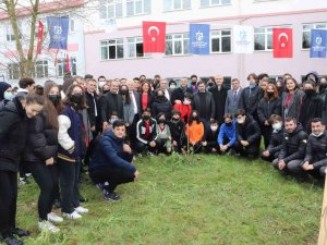 Meyve Fidanları Toprakla Buluşuyor