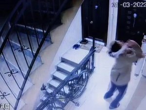 Tuzla’da Komşularının Kabusu Olan Kadın Apartmanda Huzur Bırakmadı