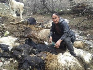 Yaklaşık 40 Hayvanı Telef Olan Besici Yardım İstedi