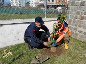 Başkan Tören: “Çalışmalarımızın Merkezinde Yeşil Kalkınma Var”