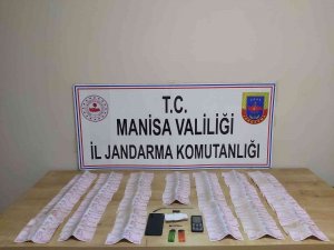 Hırsızlık Şüphelisi Jandarma Ekipleri Tarafından Yakalandı