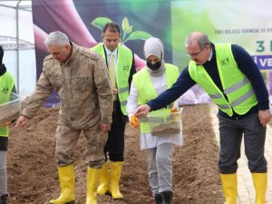 3 Milyon Aromatik Fide Tohumu Toprakla Buluştu