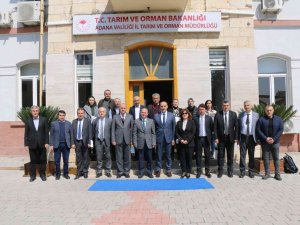 Adana’da Ki Zirai Don Olaylarının Tarımsal Üretime Zararı Değerlendirildi
