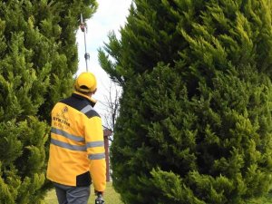 Binlerce Ağaç Bakımdan Geçti