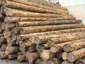 Rusya Ambargosu Türkiye’ye Fırsatları Ve Sıkıntıları Beraber Sunuyor