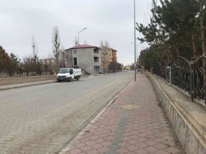 Iğdır’da "Mavi Dil" Hastalığı Tedirgin Etti