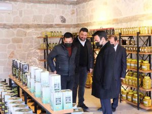 Mut’tan Hollanda’ya Zeytin Ve Yöresel Ürün İhracatı