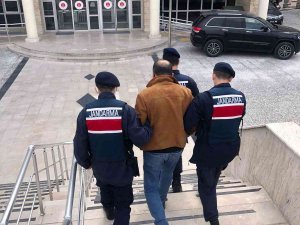 Döviz Change Dolandırıcılığına 2 Tutuklama